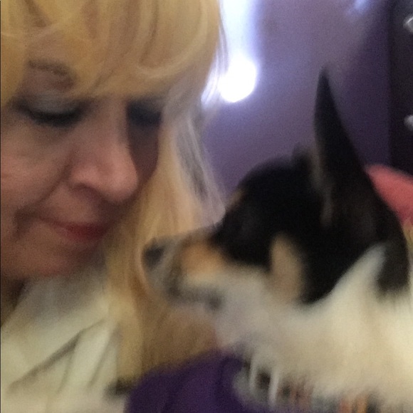 Meet your Posher, Bunny - Picture 15 of 16